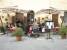 9cv_original